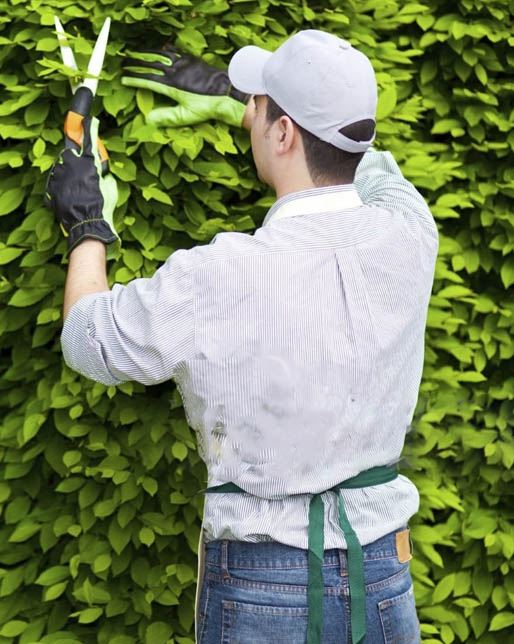 LUNEARS COOPERATIVA SOCIALE|Home