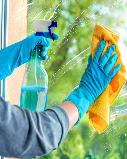 LUNEARS COOPERATIVA SOCIALE|Home